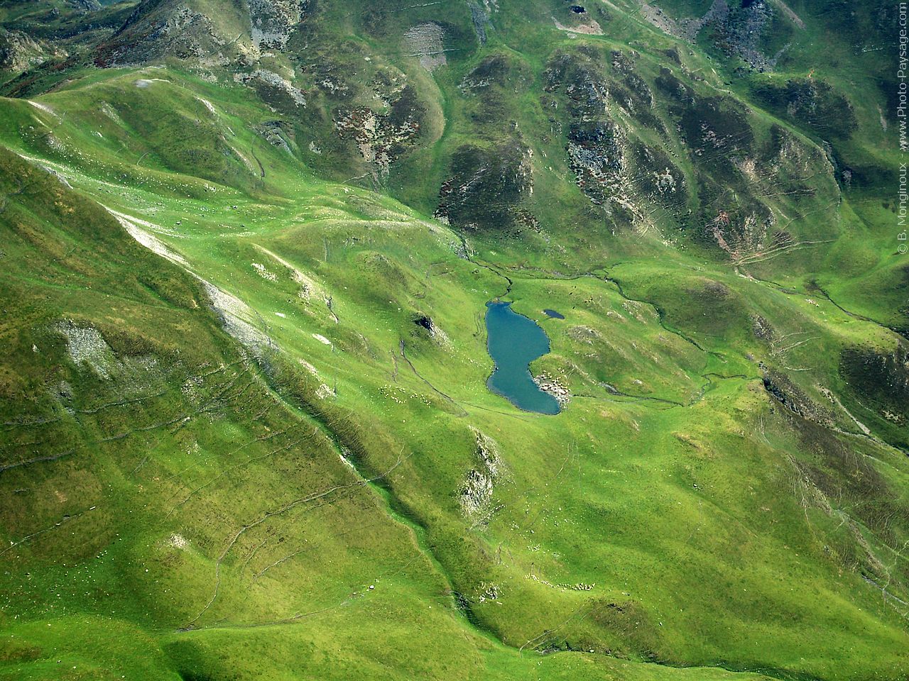 Pyrenees